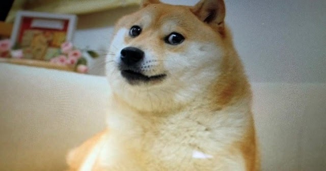 The original Dogecoin meme.
